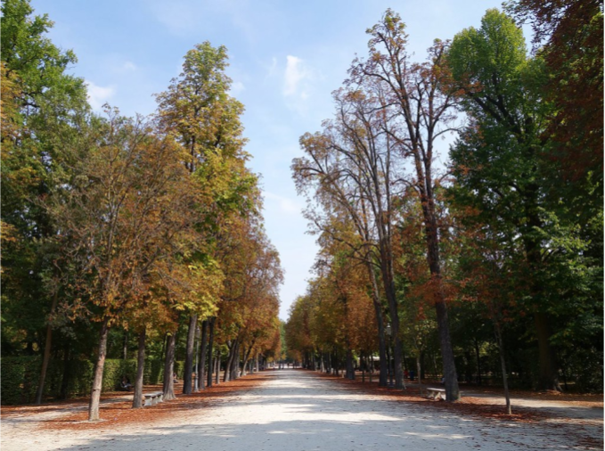 Parco Ducale